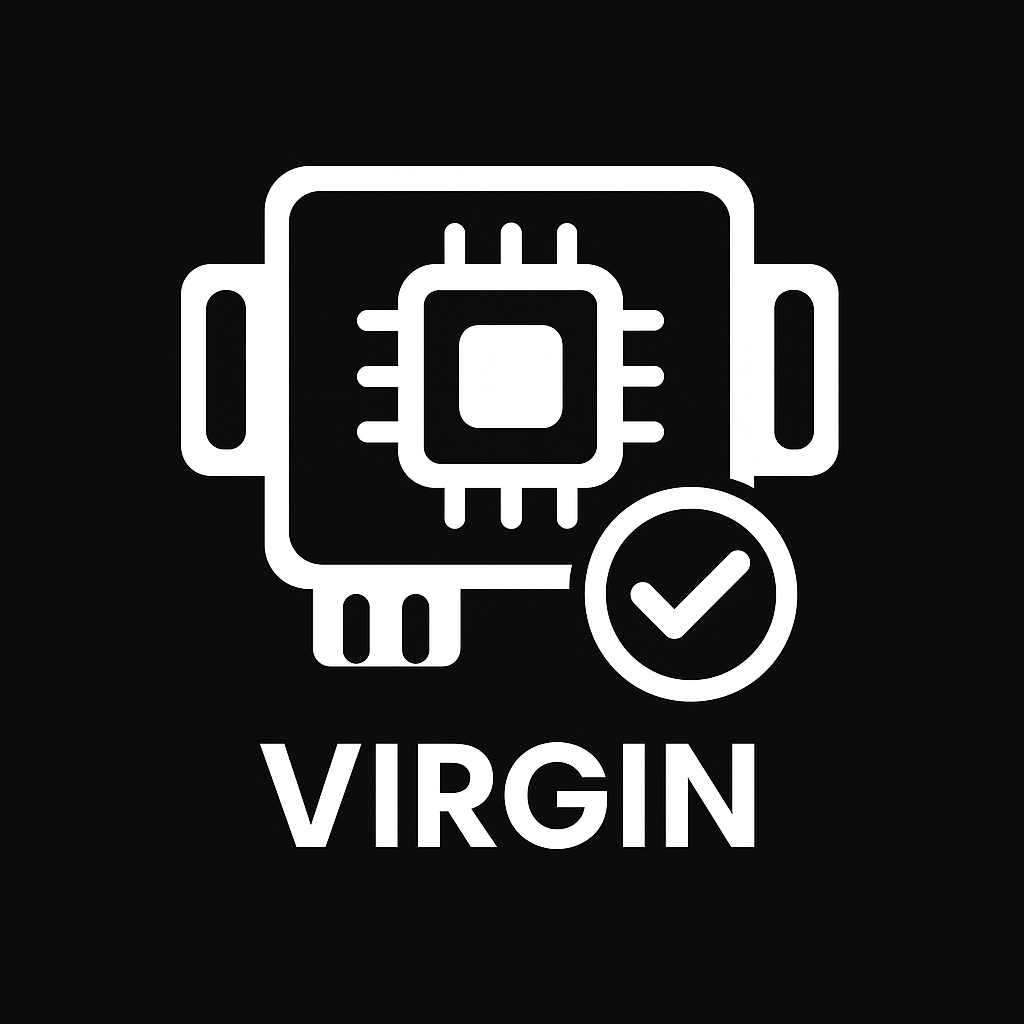 Icono ECU Virgen, restablecer ecu valores fábrica málaga